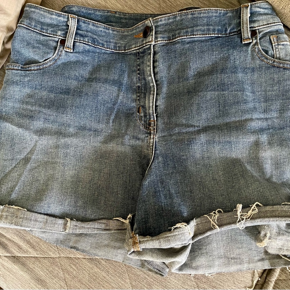 Lane Bryant Blue Jean Shorts